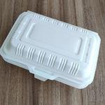 900ml Takeaway Food Corn Starch Box Disposable Cutlery Clamshell Biodegradable