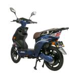 48V 800W High Power Electric Moped Bike EEC Certification For Unisex Riders