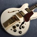 Hollow body jazz electric guitar, Double F holes,Ebony Fingerboard,Tremolo