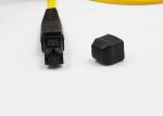 Pre - Terminated MTRJ Single Mode Fiber Patch Cord Two Cores Yellow Color