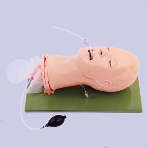 Fully Functional Cpr Training Manikins Airway Management Model