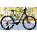 MOTINOVA E-Mountain Bikes Carbon Frame Ebike With Brushless Motor And Max Speed