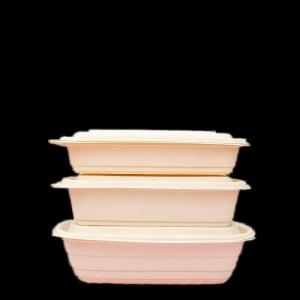 China Sustainable 500ML Biodegradable To Go Food Containers Microwave Safe factory