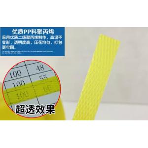 Customized PP Strap Band Extrusion Line with Different Screw Design