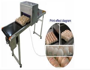 China Automatic Single Row Egg Printing Machine With Small Solvent Printer factory