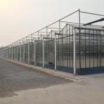 Large Prefabricated Outdoor And Indoor Backyard Glass Greenhouse For Flower
