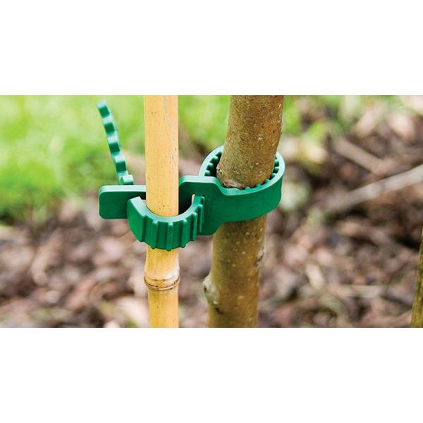 China Adjustable 24cm Soft Brimmy Garden Plant Rubber Tree Ties factory