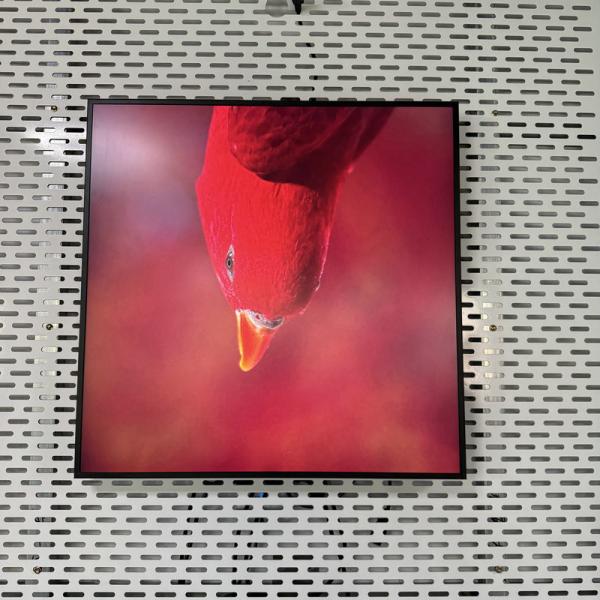 Resolution 948*948 Square All In One Digital Signage with USB HDMI RJ45