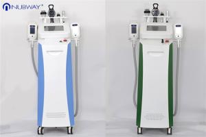 China The newest factory price 5 in 1 cryolipolysis fat freeze rf cryo liposuction slimming machine factory