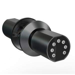 China Smart Lock(E101) factory