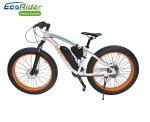 Fat Tire 2 Wheel Electric Bike 26 Inch Suspension Top High Rate Motor 48V 350W