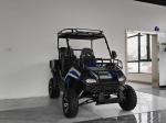 Gas Utility Vehicles 200EUX (EFI) Utv Automatic CTV With Reverse Flips Down 32