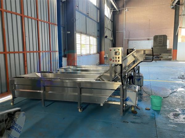 Automatic Seafood Fish High Pressure Bubble Washing Machine Shrimp Cleaning