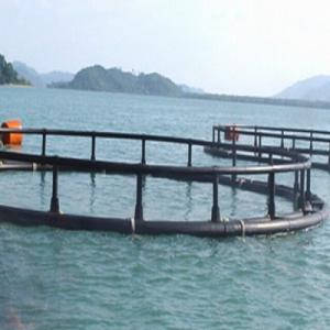 China White Aquaculture Net Cage Long Working Life Eco - Friendly Feature factory