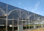Thermal Insulation Single Span Tunnel Plastic Film Greenhouse