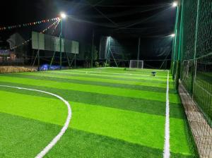 China SGS Diamond 66 Sports Football Artificial Turf 50m Height factory