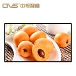 High Brightness Wall Mounted Digital Signage Colorful Explosion Proof 43''