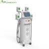 Buy cheap 4 cryo handle body slimming weight loss cryolipolysis machine new cryolipolysis from wholesalers