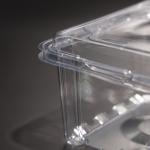 Rectangular Food Packaging Plastic Container PET Eco Friendly Food Storage