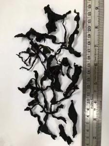 China Premium Tender Wakame: Soft, Dark Green Goodness for Soups &amp; Salads factory