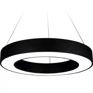China LED Living Room Decorative Pendant Lights , Modern Indoor Pendant Lighting factory
