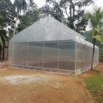Single-span Film Tunnel Top Vent Greenhouse Sri Lanka Greenhouse Prefabricated