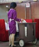 Hot Sell Durable Adjustable Dish Cart