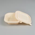1200ML 145*145*45mm Biodegradable Takeaway Boxes 6 Compartment Disposable Food