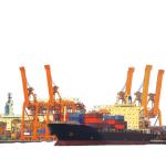 International Special Goods DDP Sea Shipping With Origin Storage Service