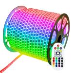 240V/230V/110V/220V RGB 5050 LED Strip Lights for Landscape with Remote IP65
