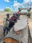 Wood Saw Machines Log Wood Cutting Log Timber Saw Mill Portable Sawmill Bandsaw