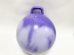 High Quality Hop Jumping Hopping Ball Relay Races Wholesales