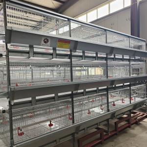 China Poultry Farming 1-45 Days Broiler Equipment SGS Battery Cage System factory