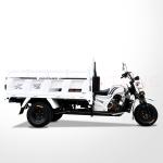 Sturdy 250cc Uzbekistan Mopes Motorcycle Cargo Agricultural Tricycle for Your