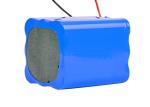 Professional LIFEPO4 Lithium Ion Battery Pack 9.6V 18Ah CE ROHS Certification