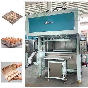 China Automatic egg tray machine egg carton machine pulp molded production line on sale