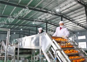 China Customized Berry Juice And Jam Production Line SUS304 Complete Berry Processing Line factory