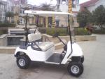 CE Approved 2 Person Electric Mini Golf Carts 48V Free-Maintenance Battery