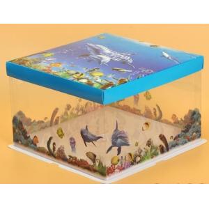 Disposable Clear/transparent Sandwich/cake Plastic Food Container/box/packaging