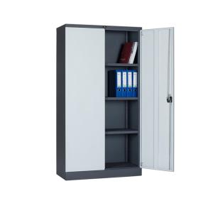 China Steel 2 Doors File Cabinet K/D Structure Colourful 2 Tier Doors Metal Locker factory