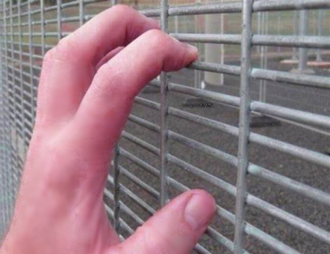 3mm To 6mm Galvanised Welded Wire Mesh Panels For European Standard Guard Mesh
