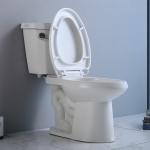 Elongated Compact Ada Toilet 19 Inches Powerful Punch Syphon Standard Height