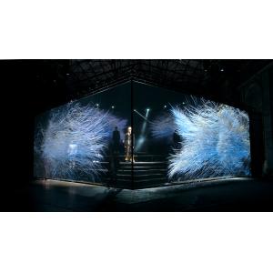 Live Show Gauze Fabric 3D Holographic Video Projection