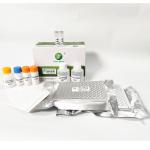 Porcine Foot And Mouth Disease Virus Porcine Test Kit 3ABC Antibody 192 Wells