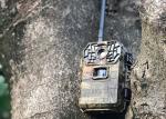 4G Wireless Outdoor Wildlife Video Camera 16Mp Mini Hunting Camera
