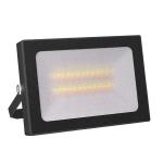 Dimming Colour Changing LED Flood Light With Remote , 35w LED Flood Light 120V