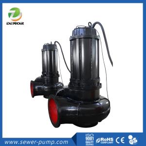 China Large Flow Double Suction Sewer Pump , Industrial Sewage Pump 1 Hp factory