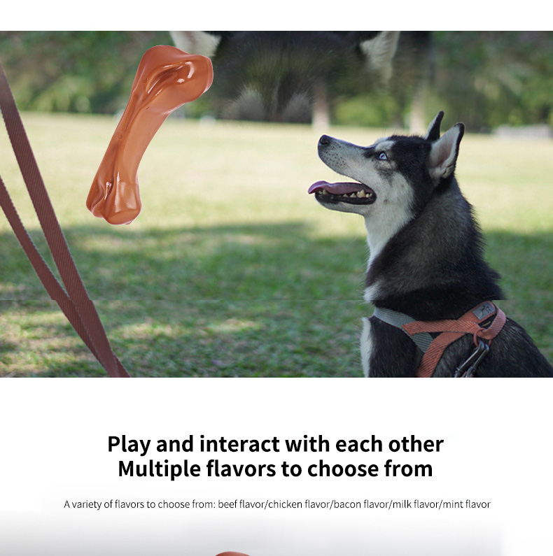 Indestructible TPR Dog Chew Toy Eco-Friendly Grinding Teeth Toy for Aggressive Dogs Soft Natural Rubber Bone
