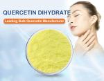 99% Purity Quercetin Bulk Supplements From Sophora Japonica Extract For Natural