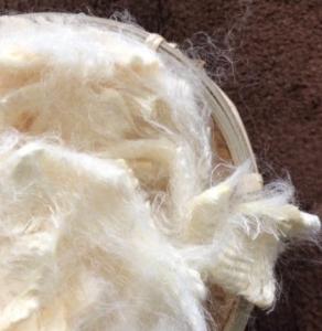 China Premium Soy Bean Fiber with Mild Flavor and High Protein Content factory